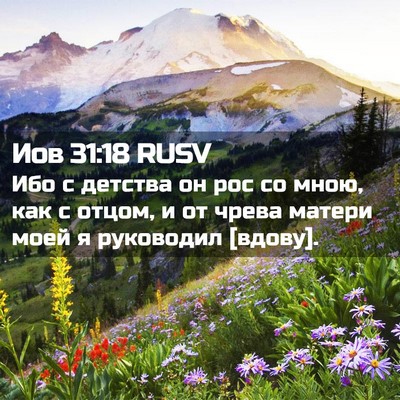 Picture 02 - Иов 31:18 RUSV - Ибо с детства он рос со - Bible Verse Picture