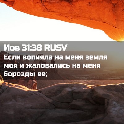 Picture 02 - Иов 31:38 RUSV - Если вопияла на меня земля - Bible Verse Picture