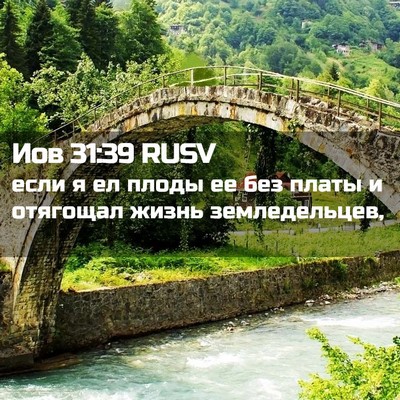 Picture 02 - Иов 31:39 RUSV - если я ел плоды ее без - Bible Verse Picture
