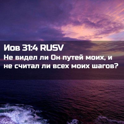 Picture 02 - Иов 31:4 RUSV - Не видел ли Он путей моих, и - Bible Verse Picture