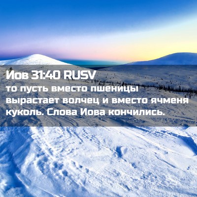 Picture 02 - Иов 31:40 RUSV - то пусть вместо пшеницы - Bible Verse Picture