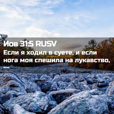 Picture 02 - Иов 31:5 RUSV - Если я ходил в суете, и если - Bible Verse Picture