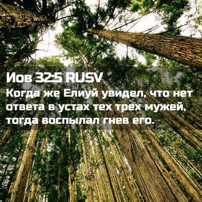 Picture 02 - Иов 32:5 RUSV - Когда же Елиуй увидел, что - Bible Verse Picture
