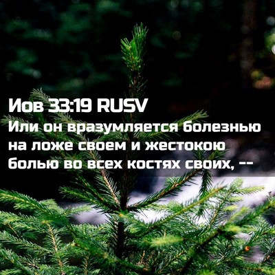 Picture 02 - Иов 33:19 RUSV - Или он вразумляется - Bible Verse Picture