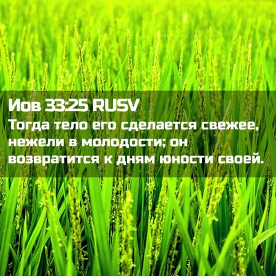 Picture 02 - Иов 33:25 RUSV - Тогда тело его сделается - Bible Verse Picture