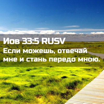 Picture 02 - Иов 33:5 RUSV - Если можешь, отвечай мне и - Bible Verse Picture