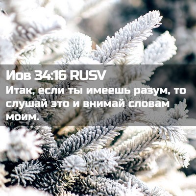 Picture 02 - Иов 34:16 RUSV - Итак, если ты имеешь разум, - Bible Verse Picture