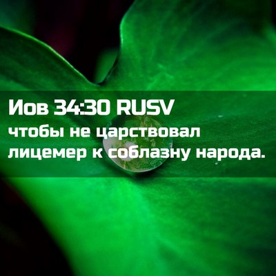 Picture 02 - Иов 34:30 RUSV - чтобы не царствовал - Bible Verse Picture