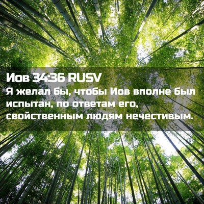 Picture 02 - Иов 34:36 RUSV - Я желал бы, чтобы Иов - Bible Verse Picture