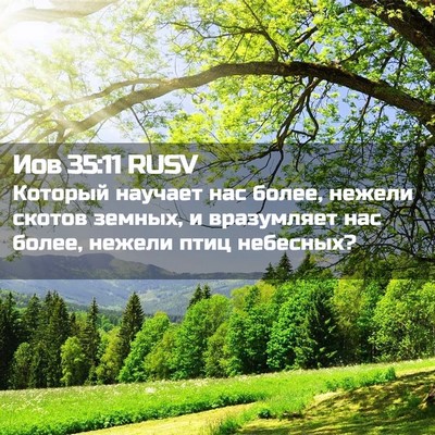 Picture 02 - Иов 35:11 RUSV - Который научает нас более, - Bible Verse Picture