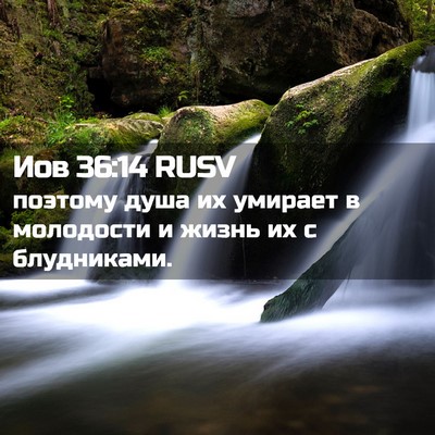 Picture 02 - Иов 36:14 RUSV - поэтому душа их умирает в - Bible Verse Picture