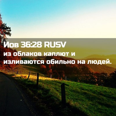 Picture 02 - Иов 36:28 RUSV - из облаков каплют и - Bible Verse Picture