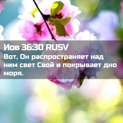 Picture 02 - Иов 36:30 RUSV - Вот, Он распространяет над - Bible Verse Picture