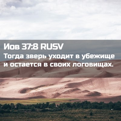 Picture 02 - Иов 37:8 RUSV - Тогда зверь уходит в - Bible Verse Picture