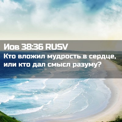 Picture 02 - Иов 38:36 RUSV - Кто вложил мудрость в - Bible Verse Picture