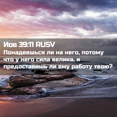 Picture 02 - Иов 39:11 RUSV - Понадеешься ли на него, - Bible Verse Picture
