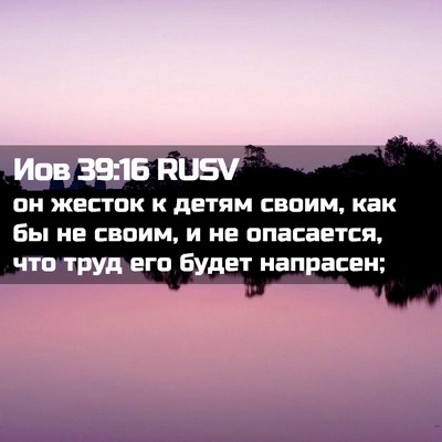 Picture 02 - Иов 39:16 RUSV - он жесток к детям своим, - Bible Verse Picture