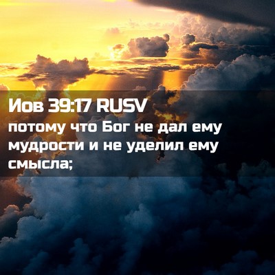 Picture 02 - Иов 39:17 RUSV - потому что Бог не дал ему - Bible Verse Picture