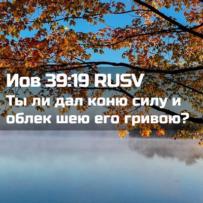 Picture 02 - Иов 39:19 RUSV - Ты ли дал коню силу и облек - Bible Verse Picture
