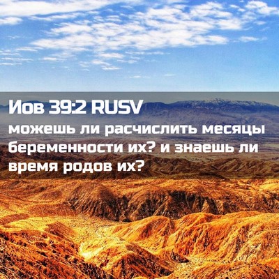 Picture 02 - Иов 39:2 RUSV - можешь ли расчислить - Bible Verse Picture