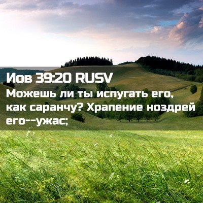 Picture 02 - Иов 39:20 RUSV - Можешь ли ты испугать его, - Bible Verse Picture