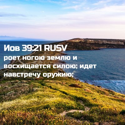 Picture 02 - Иов 39:21 RUSV - роет ногою землю и - Bible Verse Picture
