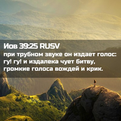 Picture 02 - Иов 39:25 RUSV - при трубном звуке он - Bible Verse Picture