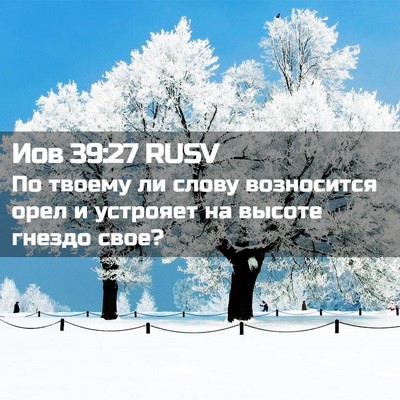 Picture 02 - Иов 39:27 RUSV - По твоему ли слову - Bible Verse Picture