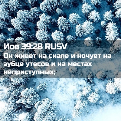 Picture 02 - Иов 39:28 RUSV - Он живет на скале и ночует - Bible Verse Picture