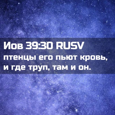 Picture 02 - Иов 39:30 RUSV - птенцы его пьют кровь, и - Bible Verse Picture