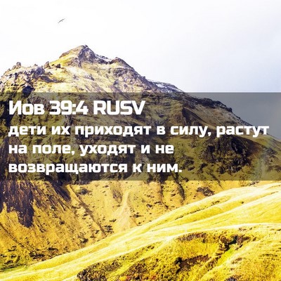 Picture 02 - Иов 39:4 RUSV - дети их приходят в силу, - Bible Verse Picture