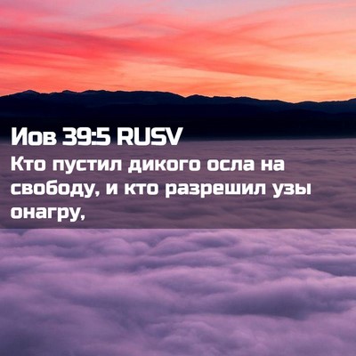 Picture 02 - Иов 39:5 RUSV - Кто пустил дикого осла на - Bible Verse Picture