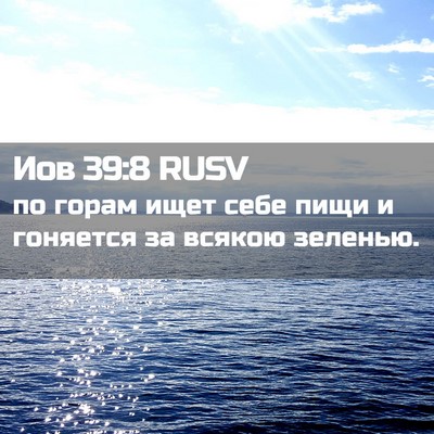 Picture 02 - Иов 39:8 RUSV - по горам ищет себе пищи и - Bible Verse Picture