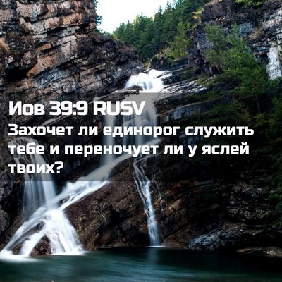 Picture 02 - Иов 39:9 RUSV - Захочет ли единорог - Bible Verse Picture