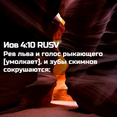 Picture 02 - Иов 4:10 RUSV - Рев льва и голос рыкающего - Bible Verse Picture