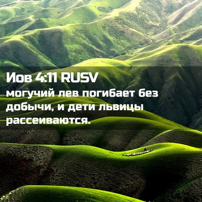 Picture 02 - Иов 4:11 RUSV - могучий лев погибает без - Bible Verse Picture