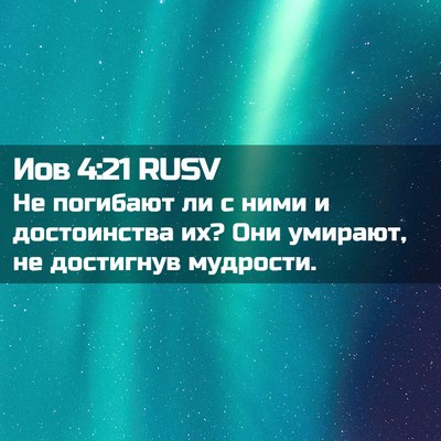 Picture 02 - Иов 4:21 RUSV - Не погибают ли с ними и - Bible Verse Picture