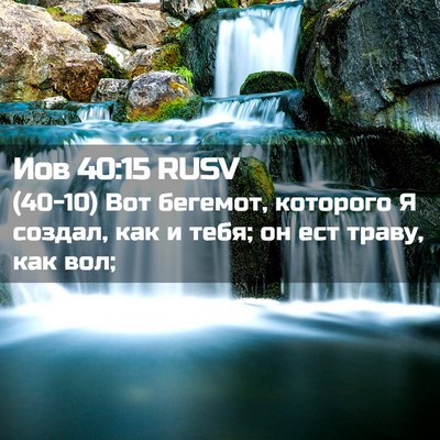 Picture 02 - Иов 40:15 RUSV - (40-10) Вот бегемот, которого - Bible Verse Picture
