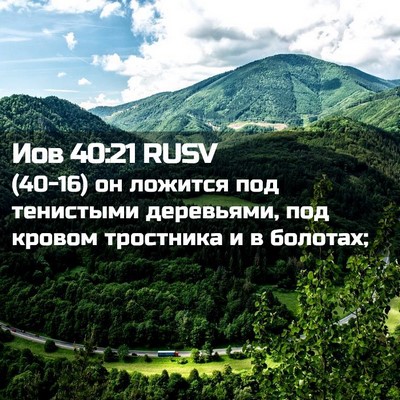 Picture 02 - Иов 40:21 RUSV - (40-16) он ложится под - Bible Verse Picture