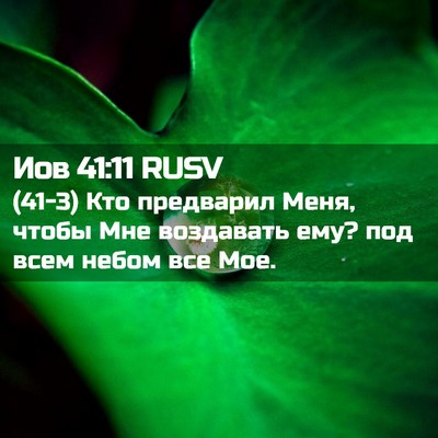 Picture 02 - Иов 41:11 RUSV - (41-3) Кто предварил Меня, - Bible Verse Picture