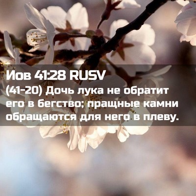 Picture 02 - Иов 41:28 RUSV - (41-20) Дочь лука не обратит - Bible Verse Picture