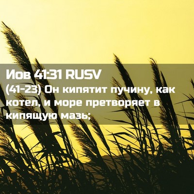 Picture 02 - Иов 41:31 RUSV - (41-23) Он кипятит пучину, как - Bible Verse Picture