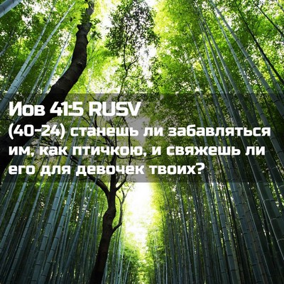 Picture 02 - Иов 41:5 RUSV - (40-24) станешь ли - Bible Verse Picture