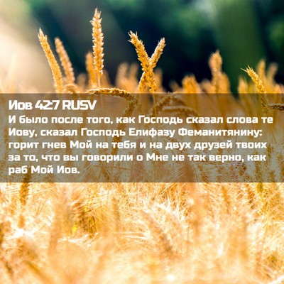 Picture 02 - Иов 42:7 RUSV - И было после того, как - Bible Verse Picture
