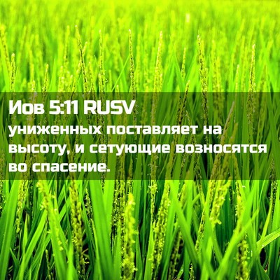 Picture 02 - Иов 5:11 RUSV - униженных поставляет на - Bible Verse Picture