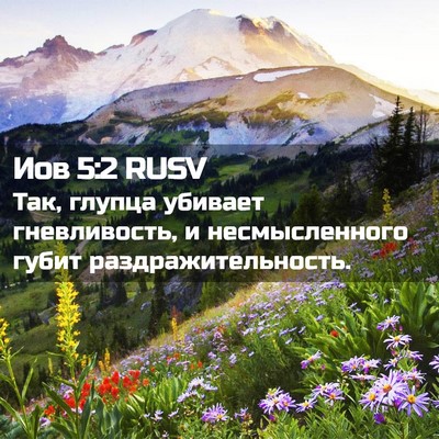 Picture 02 - Иов 5:2 RUSV - Так, глупца убивает - Bible Verse Picture