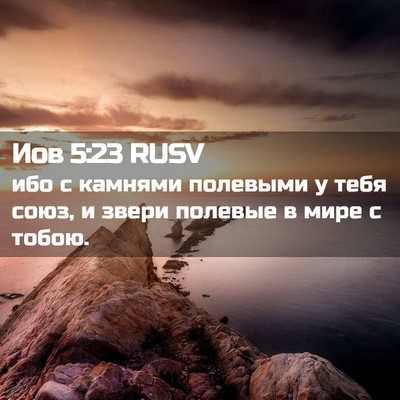Picture 02 - Иов 5:23 RUSV - ибо с камнями полевыми у - Bible Verse Picture