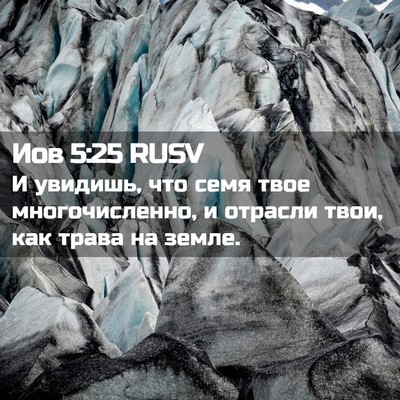 Picture 02 - Иов 5:25 RUSV - И увидишь, что семя твое - Bible Verse Picture