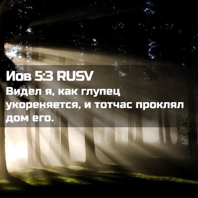 Picture 02 - Иов 5:3 RUSV - Видел я, как глупец - Bible Verse Picture