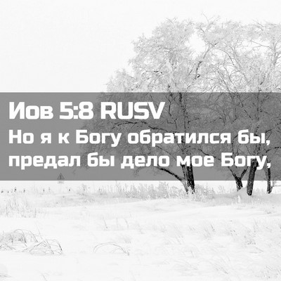 Picture 02 - Иов 5:8 RUSV - Но я к Богу обратился бы, - Bible Verse Picture